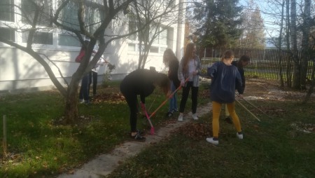 Poniektorí ešte stále špekulujú s náradím.  Alebo sa im len nechce hrabať lístie?